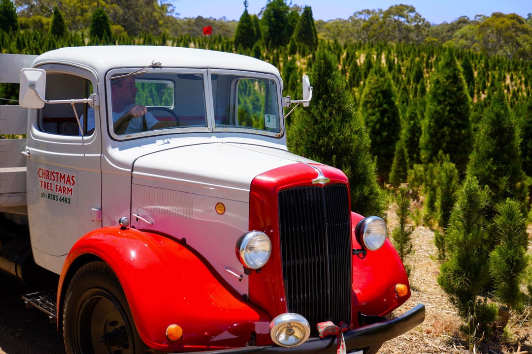 After Christmas Collection: