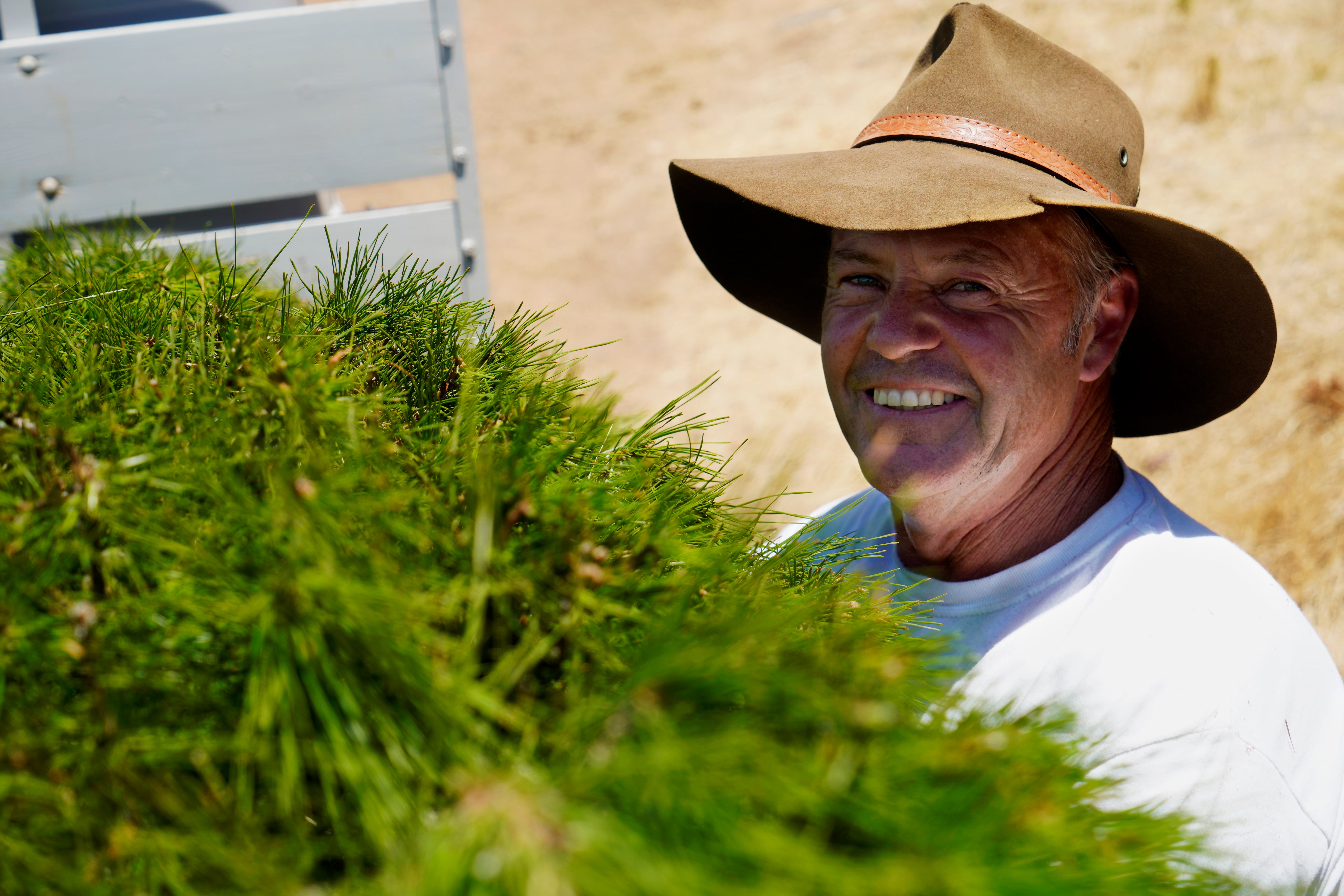 Photo of a delivery staff member from Chandlers Hill Christmas Tree Farm loading a freshly cut Christmas tree onto the farm’s delivery truck, showcasing professional Christmas tree delivery, fresh Christmas trees, and family-run Christmas Tree Farm service