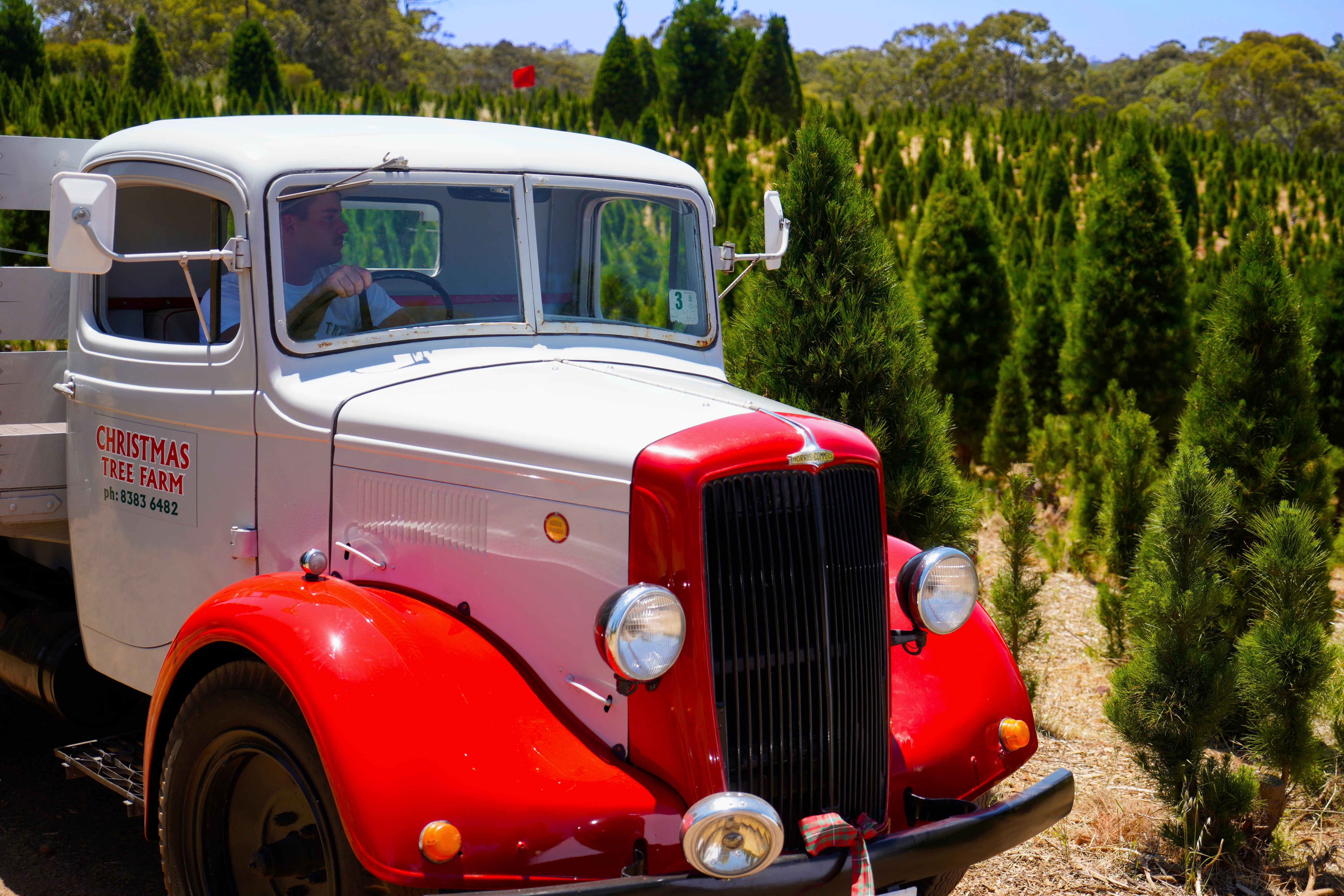 After Christmas Pick-up: